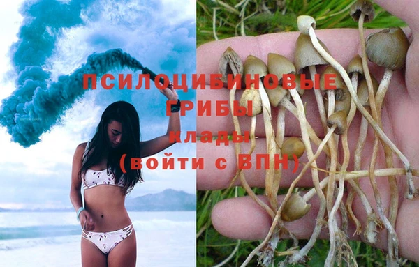 прущие крисы Абинск
