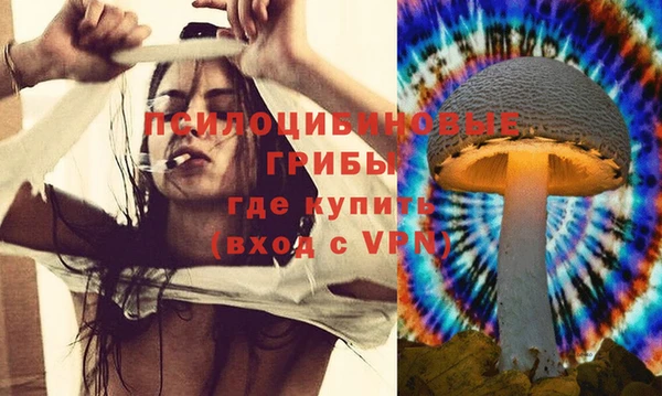 бошки Абаза