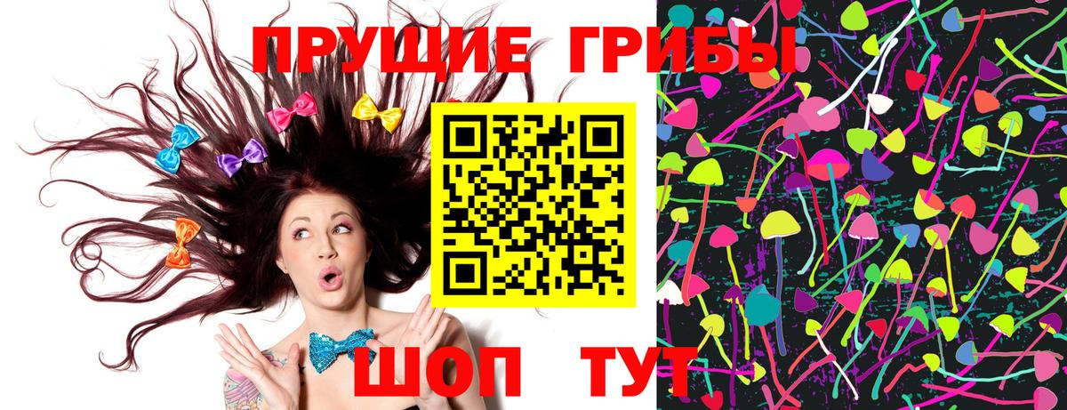Псилоцибиновые грибы мицелий  Вход с VPN  купить наркотики сайты  Братск 