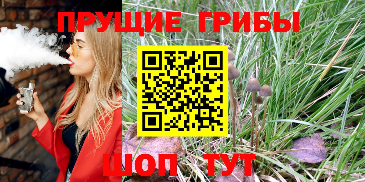 Псилоцибиновые грибы ЛСД Братск